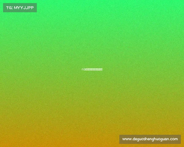 nb八一常规赛什么时候开始