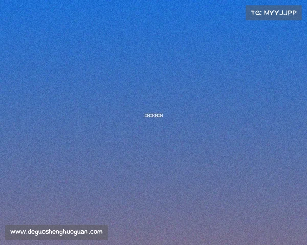 比利时比赛战绩